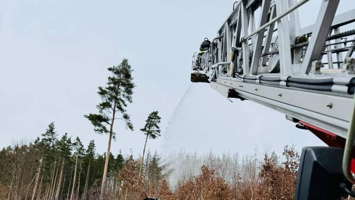 Vermisstensuche & Vegetationsbrand am Bleilochstausee