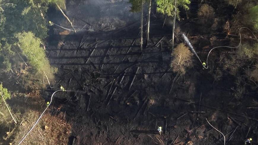 Waldbrand