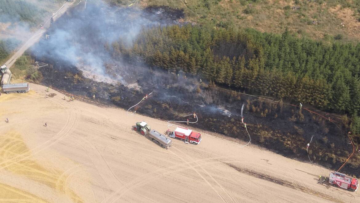 Wald- und Feldbrand