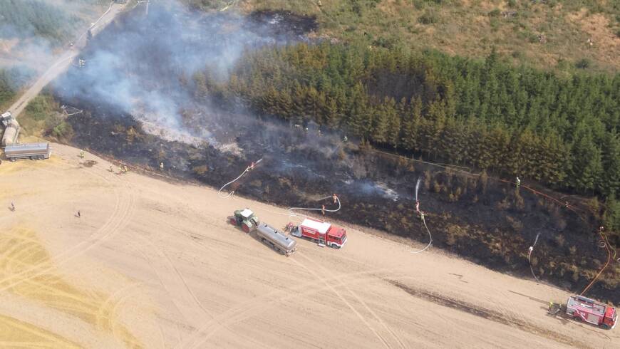 Wald- und Feldbrand