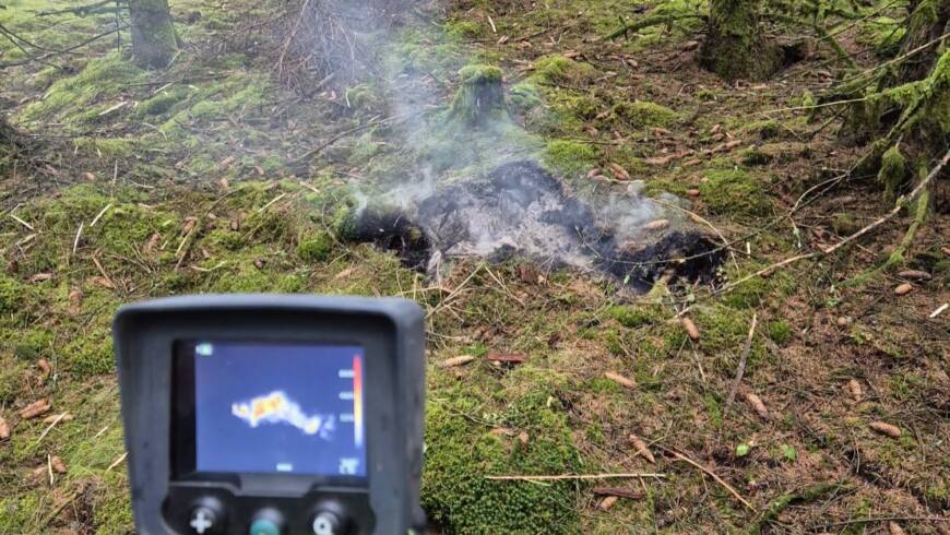 Waldbrand